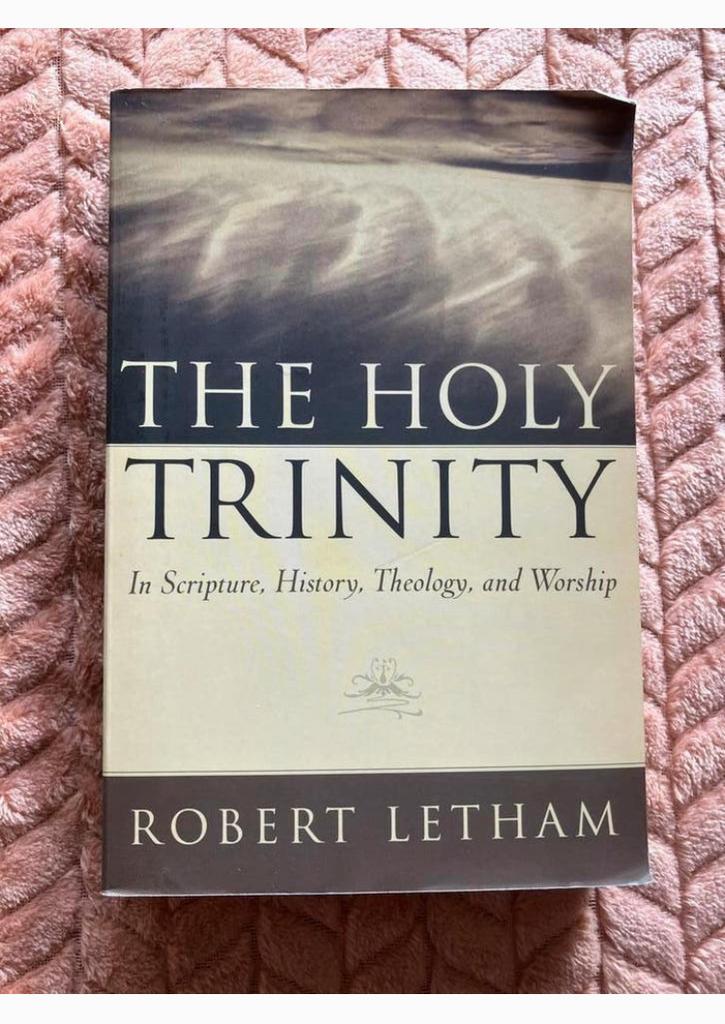 The Holy Trinity, Boeken, Ophalen of Verzenden, Zo goed als nieuw, Christendom | Protestants