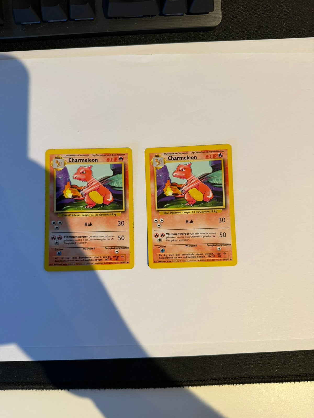 2x Charmeleon NL kaarten 24/102, Ophalen of Verzenden, Zo goed als nieuw, Meerdere kaarten