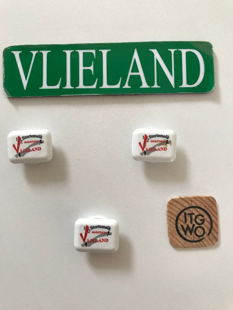 Vlieland magneetjes Stortemelk muntje ITGWO, Ophalen of Verzenden, Waddeneilanden