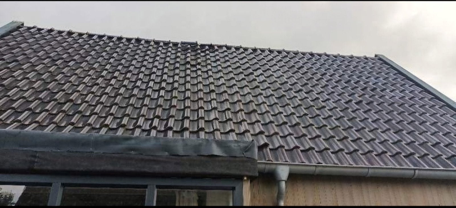 GRATIS 1200 Oud-Hollandse geglazuurde dakpannen, Ophalen, Gebruikt, Steen of Klei, 15 m² of meer
