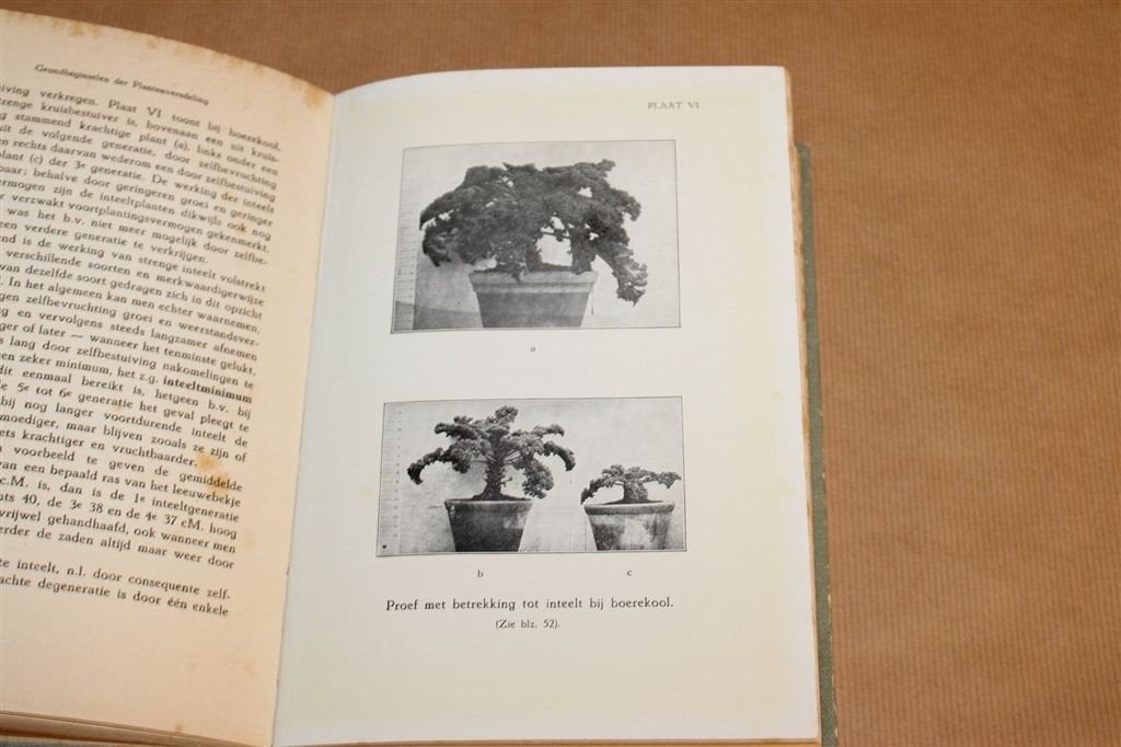 Grondbeginselen der Plantenveredeling — Antiek Leerboek 1926, Boeken, Ophalen of Verzenden, Gelezen