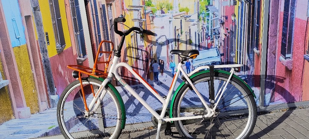 Batavus Tricolore met Transport Bakkersrek, Ophalen, Terugtraprem, Batavus, Versnellingen