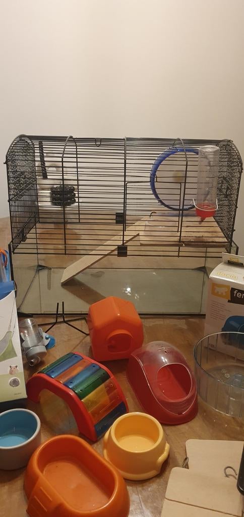 Hamster spullen te koop, Dieren en Toebehoren, Kooi, Minder dan 75 cm, Hamster, Ophalen