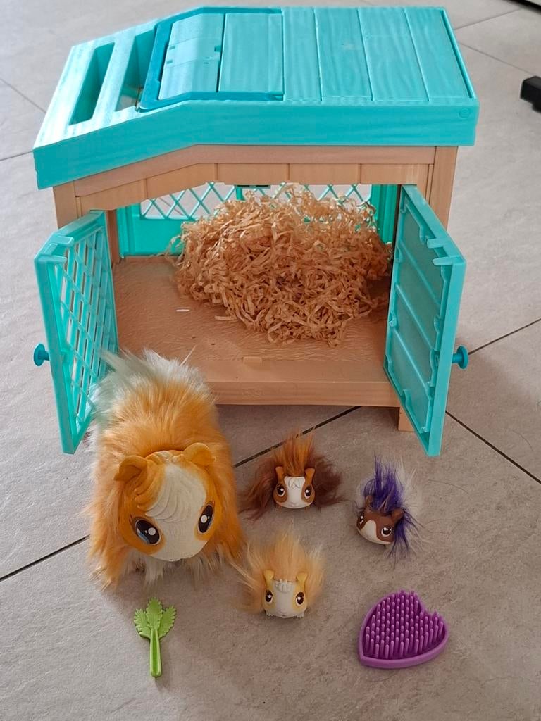 Mama Surprise cavia met hok en baby's, Ophalen, Zo goed als nieuw, Jongen of Meisje