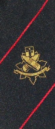 Fort aan den Hoek van Holland stropdas Atlantikwall, Ophalen of Verzenden, Nieuw, Blauw