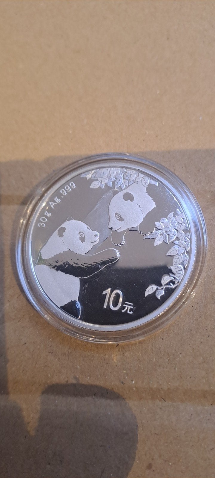 2023 Zilveren Chinese Panda Munt 30 gram, Ophalen of Verzenden, Oost-Azië, Losse munt, Zilver
