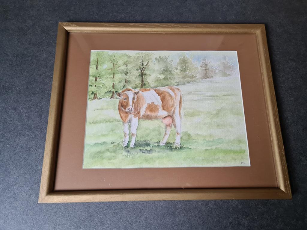 Schilderij koe Roodbont, Ophalen of Verzenden