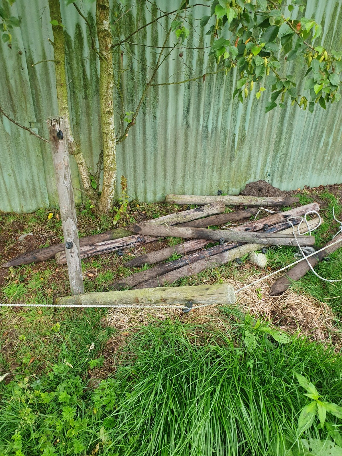 Gebruikte houten palen voor afrastering of tuin, Ophalen of Verzenden, Gebruikt, Minder dan 180 cm, Palen