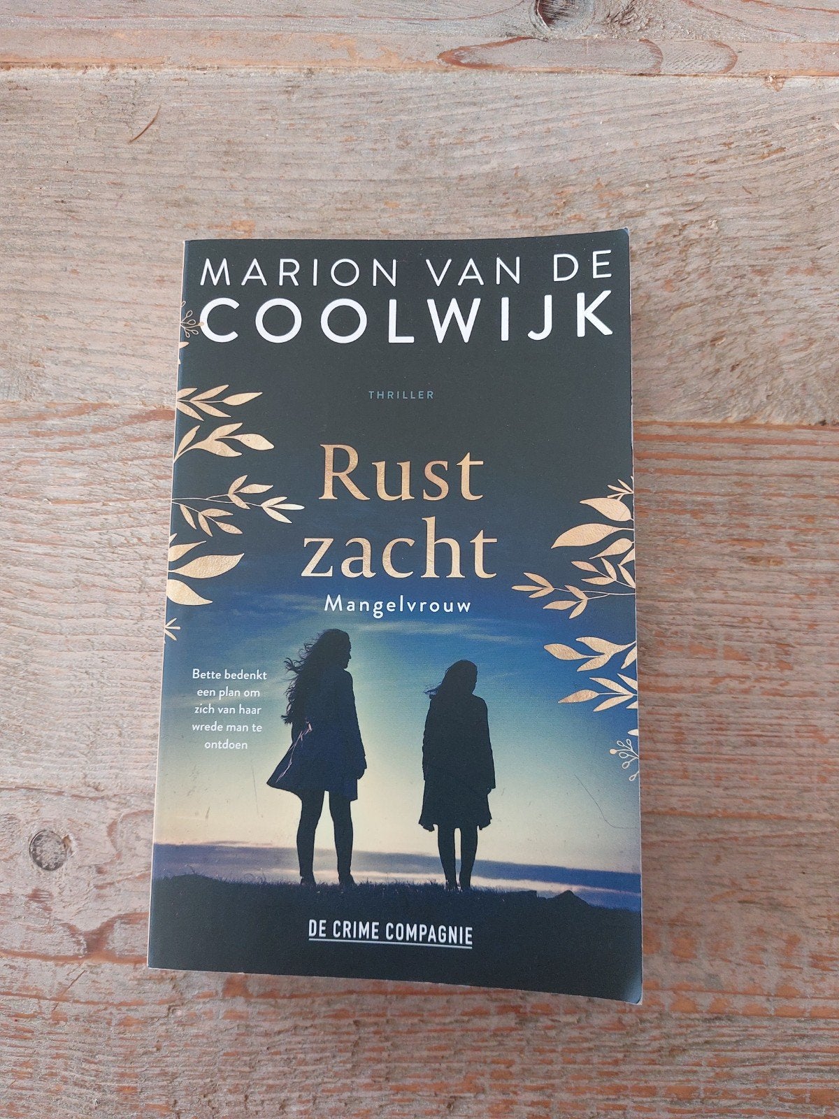 Rust zacht - Mangelvrouw (Thriller) - Marion van de Coolwijk, Boeken, Ophalen of Verzenden, Zo goed als nieuw, Marion van de Coolwijk