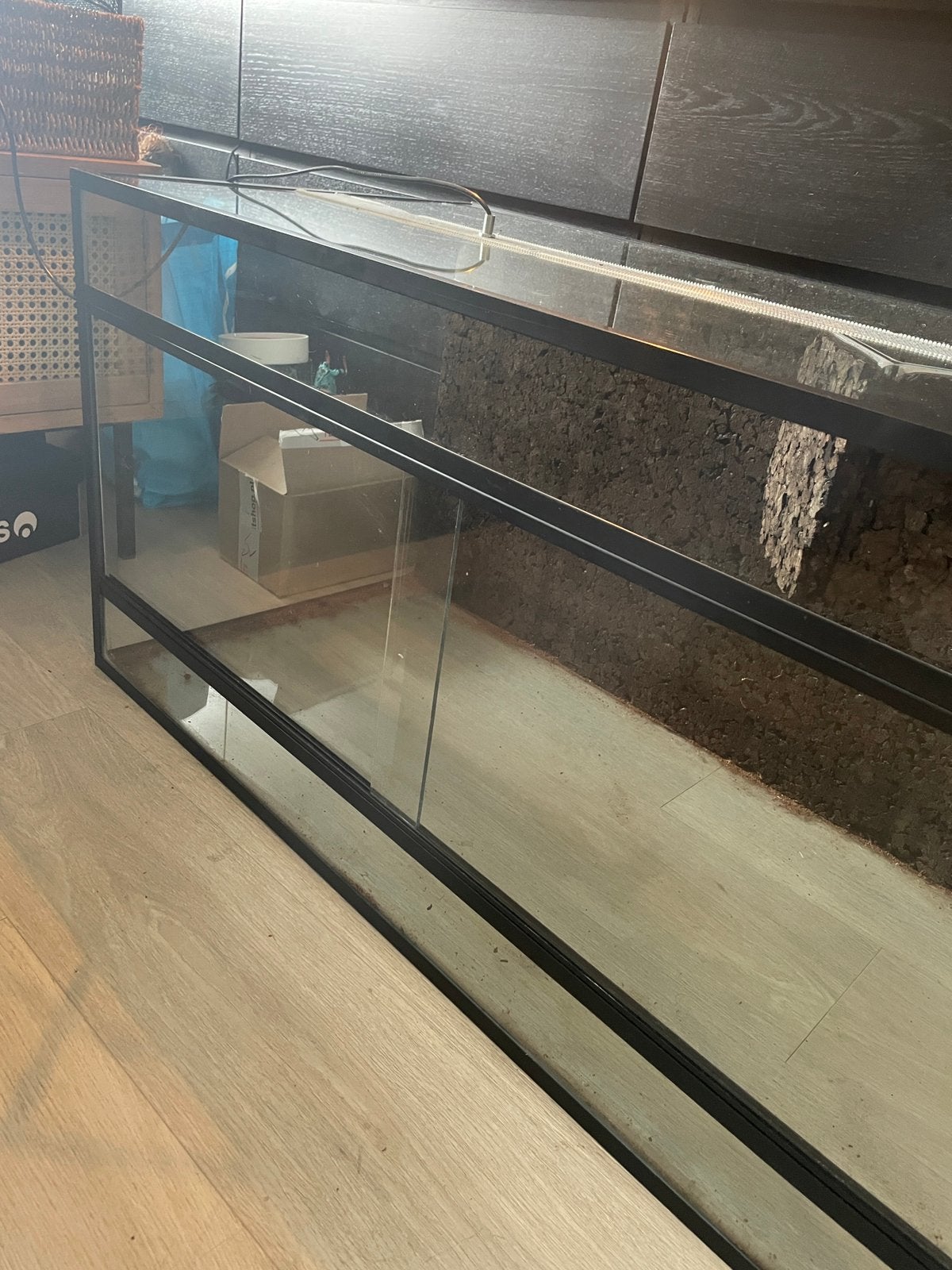 Terrarium met achterwand 100x50x50, Ophalen, Zo goed als nieuw, Terrarium of Paludarium