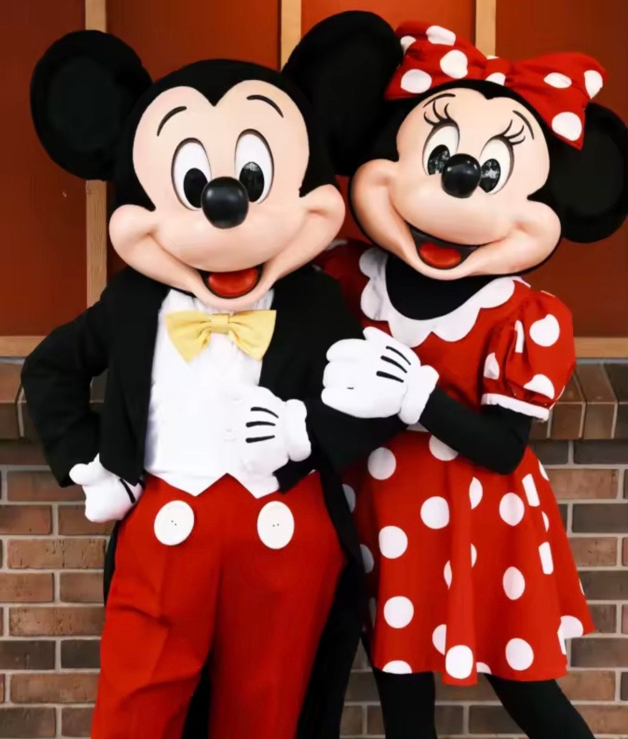 Mickey en Minnie Mouse kostuums te huur, Ophalen, Gebruikt, Kostuum, Verjaardag