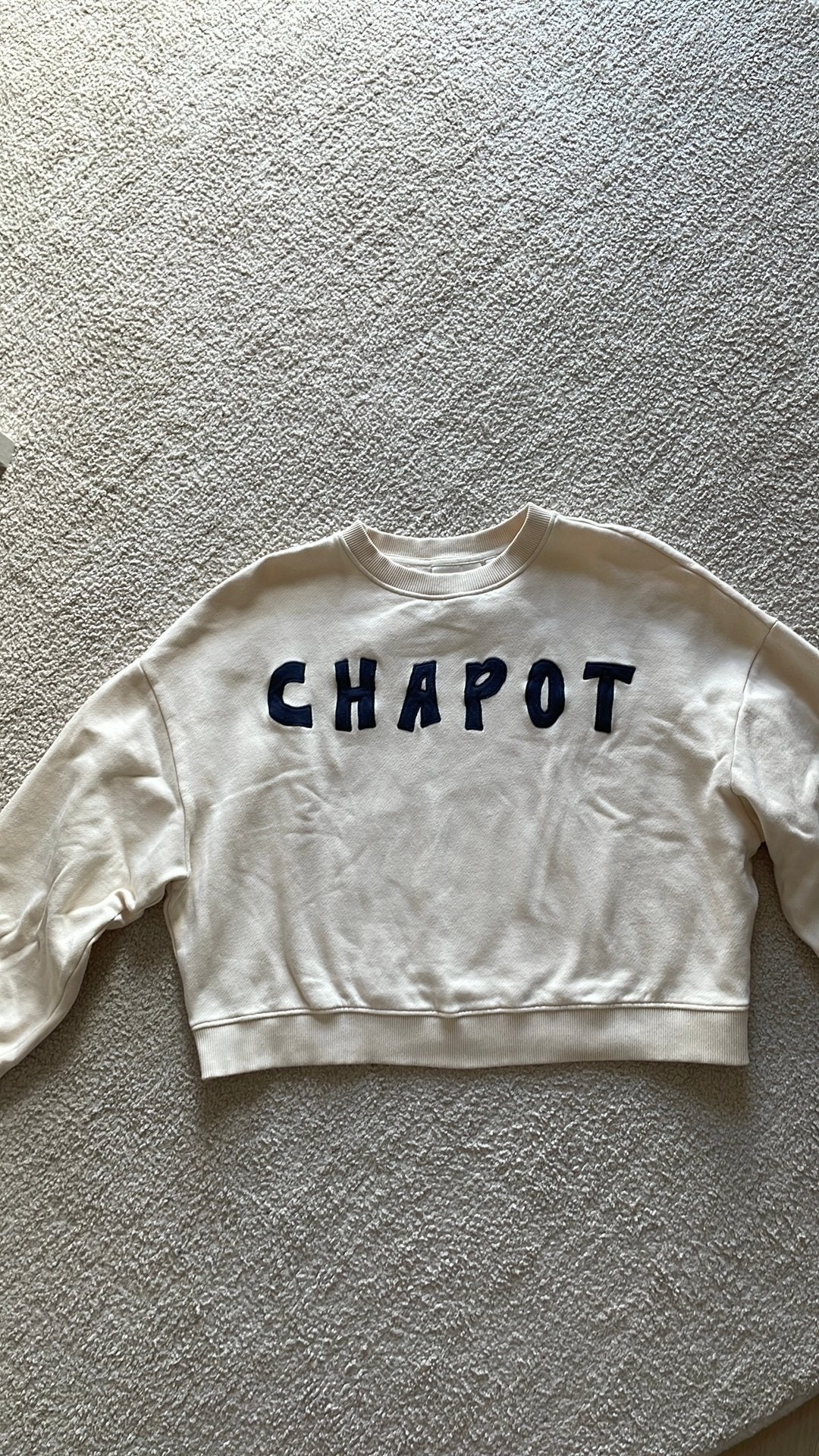 Nieuwe trui van Fabienne Chapot mt M, Kleding | Dames, Truien en Vesten, Ophalen of Verzenden, Nieuw, Maat 38/40 (M), Beige