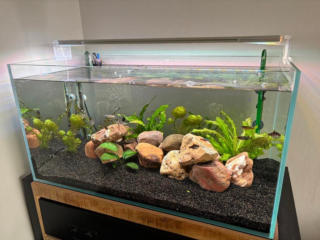 Aquarium Superfish Aquascape 140 met vissen, Ophalen, Inclusief vissen, Superfish, Gevuld zoetwateraquarium
