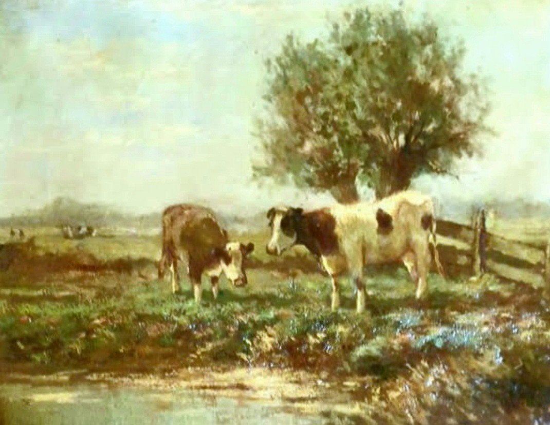 SCHILDERIJ MET KOEIEN(40X60), Ophalen of Verzenden