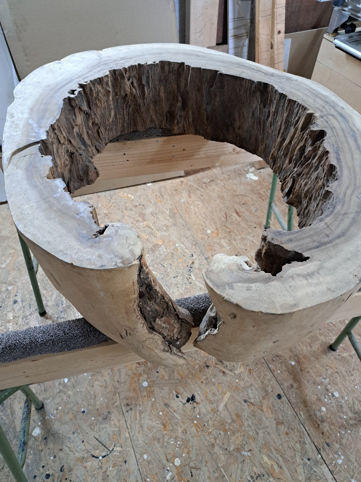 Unieke boomstamschijven met natuurlijke vorm, Doe-het-zelf en Verbouw, Hout en Planken, Ophalen, Nieuw, Plank, 50 mm of meer