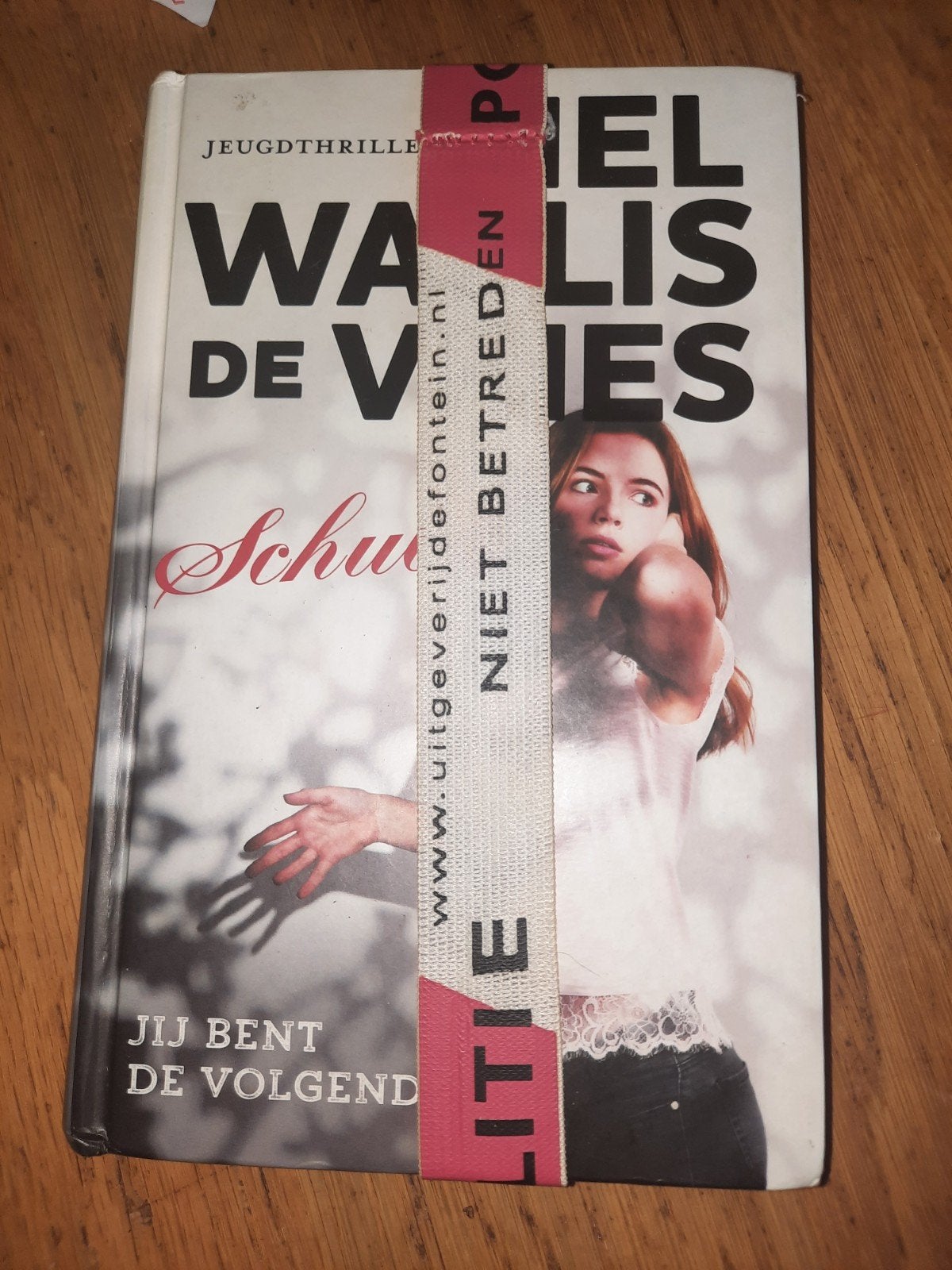 Mel Wallis de Vries - Schuld, Ophalen of Verzenden, Zo goed als nieuw, Mel Wallis de Vries