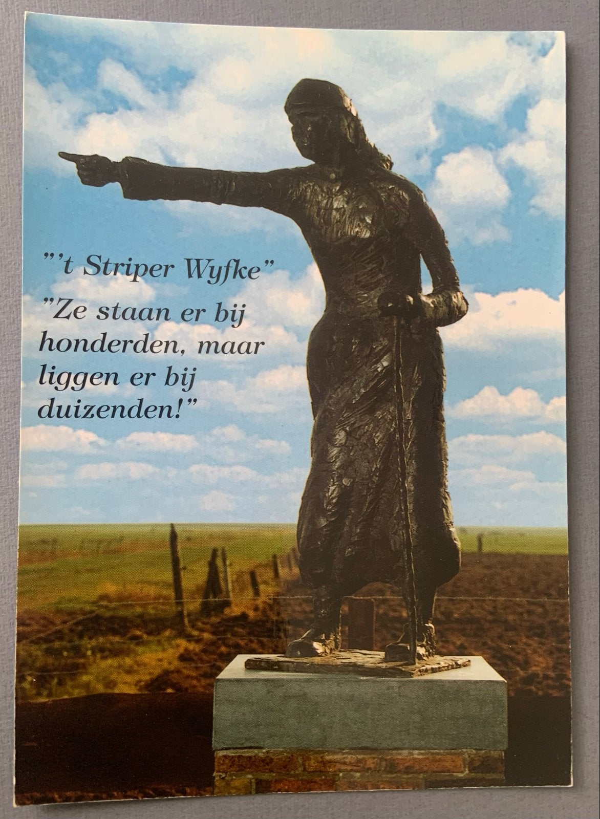 ‘t Striper Wyfke Terschelling, Verzamelen, Ansichtkaarten | Nederland, Gelopen, Waddeneilanden, 1980 tot heden, Verzenden