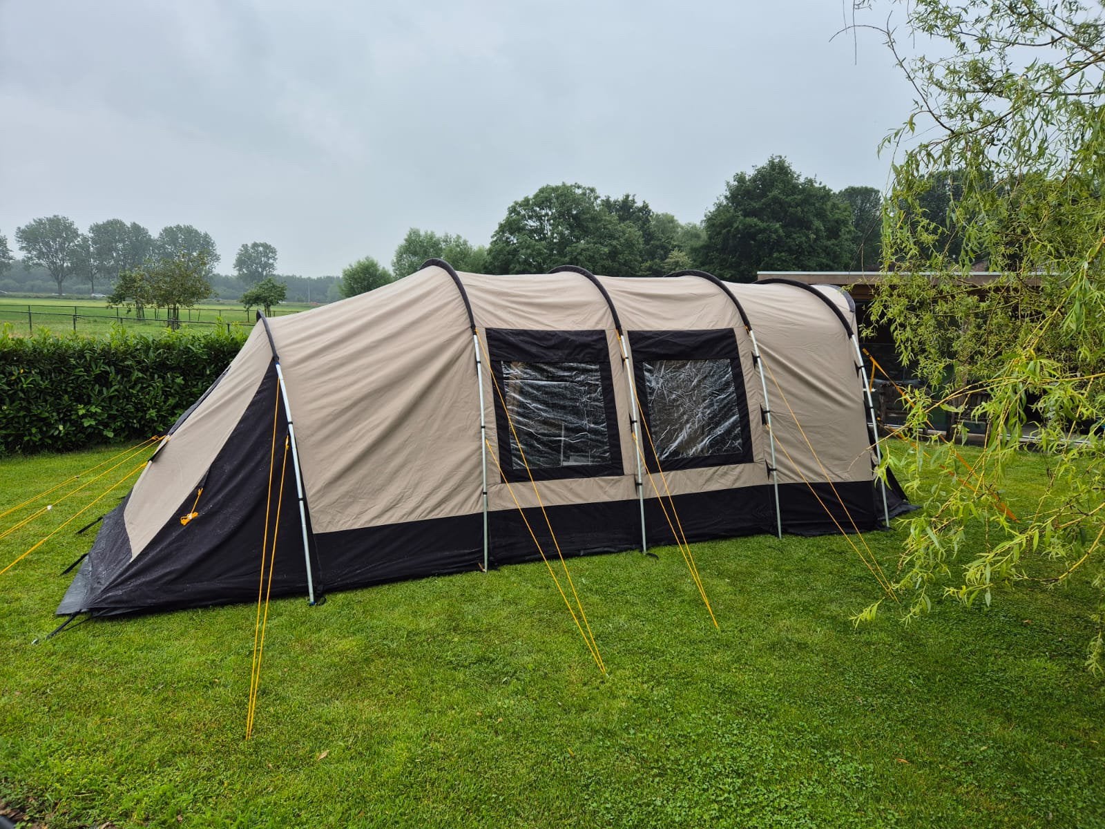 Te koop: Birch 310 Tc Redwood (nieuwste versie)-, Caravans en Kamperen, Tenten, Ophalen, Zo goed als nieuw, Tot en met 4