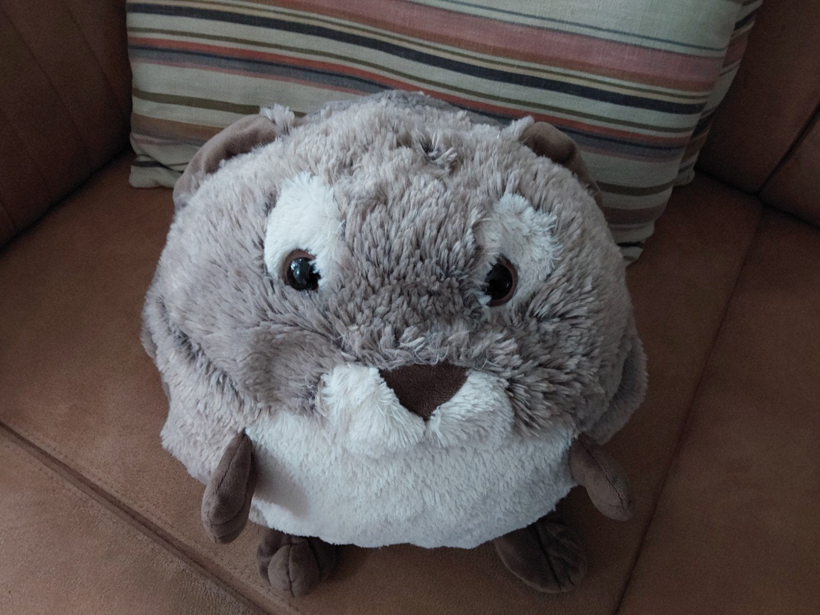 Knuffel konijn met handwarmer functie -  ophalen voor 3 euro, Ophalen, Konijn, Zo goed als nieuw, Middelgroot (20 tot 80 cm)