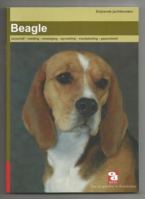 Beagle, Ophalen of Verzenden, Nieuw, Honden