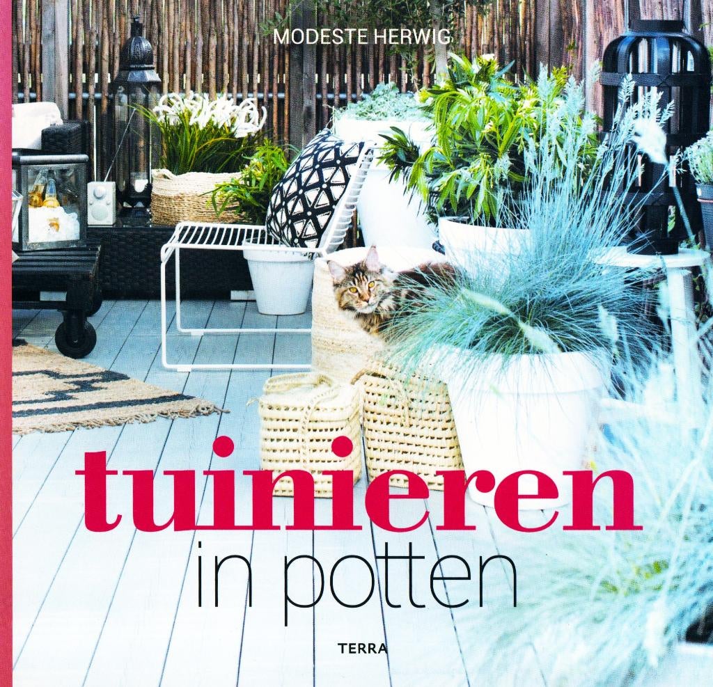 Tuinieren in Potten - Modeste Herwig / 9789089897589, Boeken, Wonen en Tuinieren, Ophalen of Verzenden, Zo goed als nieuw, Modeste Herwig