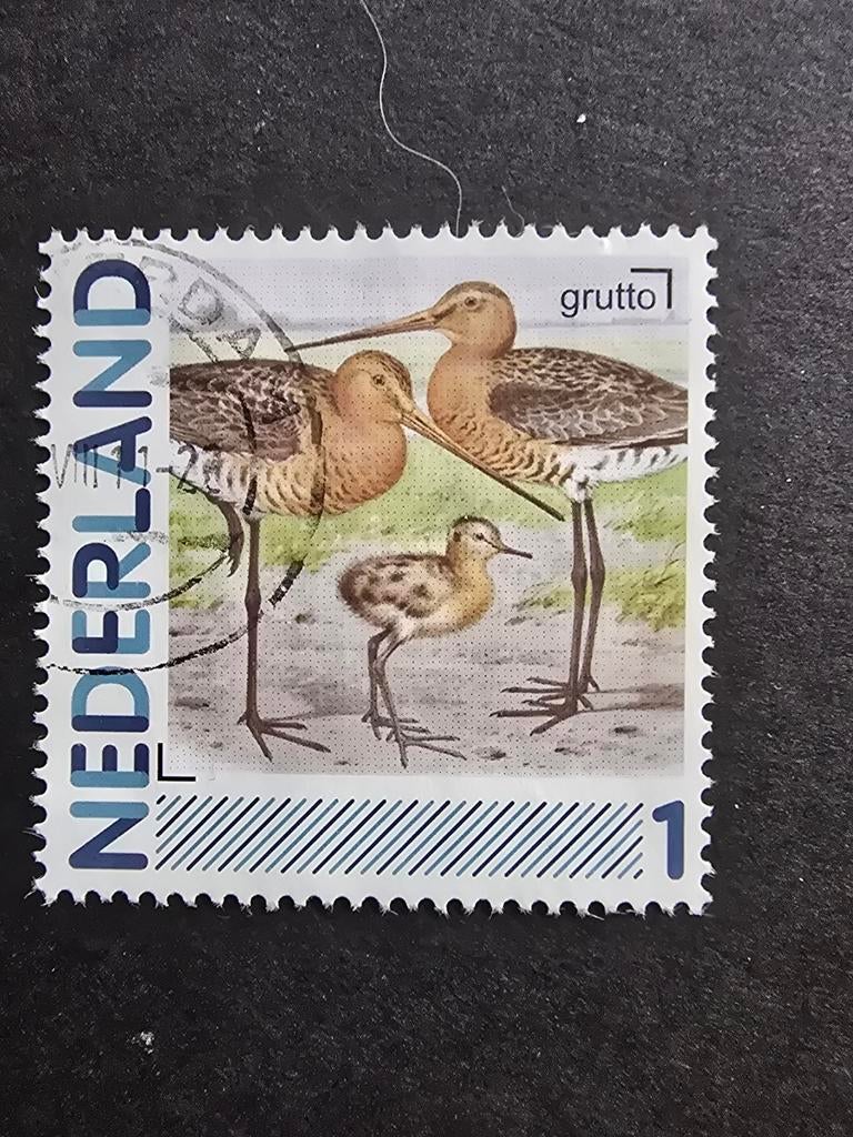 Persoonlijke Postzegel Nederland - Grutto, Ophalen of Verzenden, Na 1940, Gestempeld