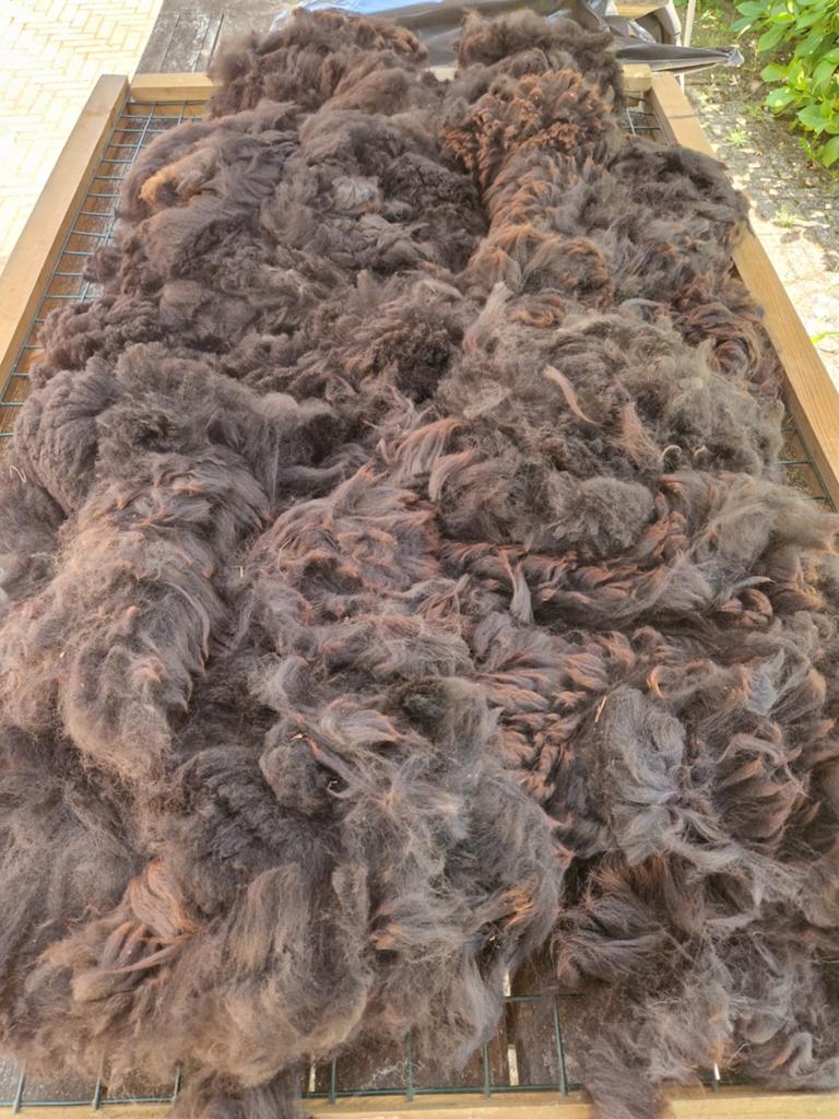 Alpacawol zadel zwart, Ophalen of Verzenden, Nieuw, Spinwol