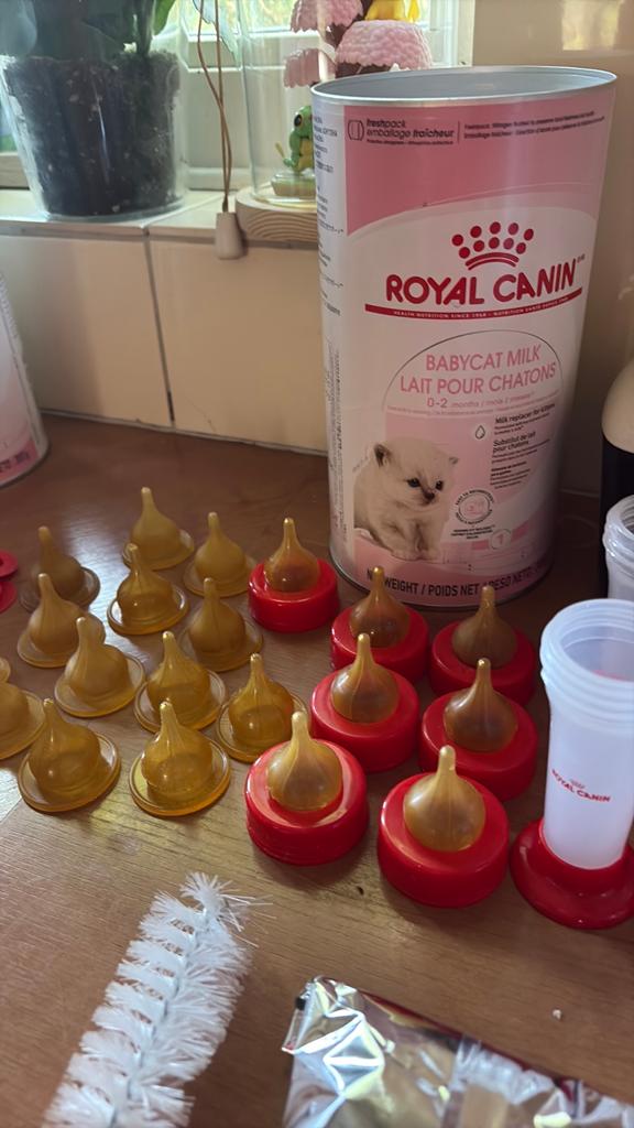 Royal canin babycatmilk kittenmelkpoeder, Ophalen of Verzenden, Hond