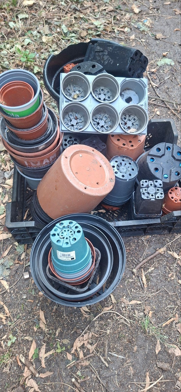 Gratis plastic plantenpotjes, Ophalen, Kweekbak