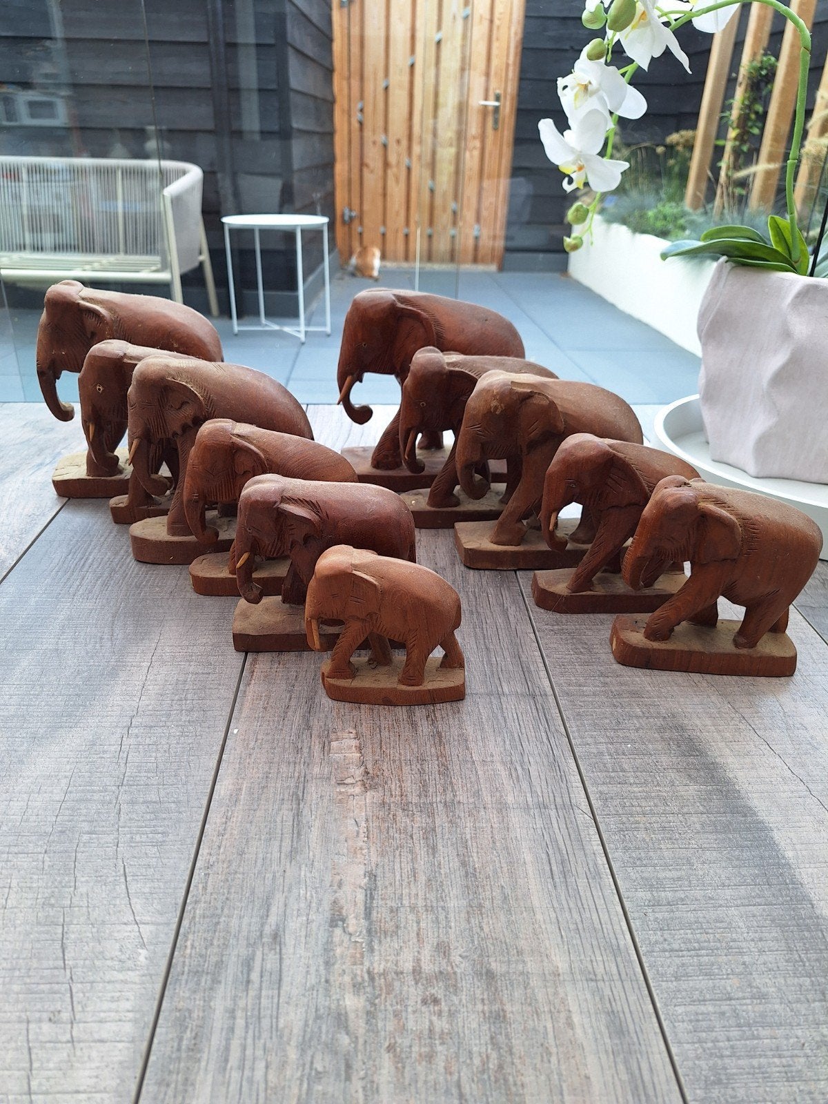 Set van 11  handgesneden houten olifantenbeelden, Ophalen