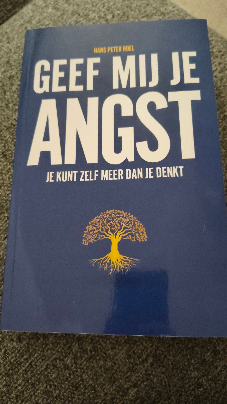 Hans Peter Roel - Geef mij je angst, Boeken, Spiritualiteit algemeen, Hans Peter Roel, Overige typen, Ophalen of Verzenden