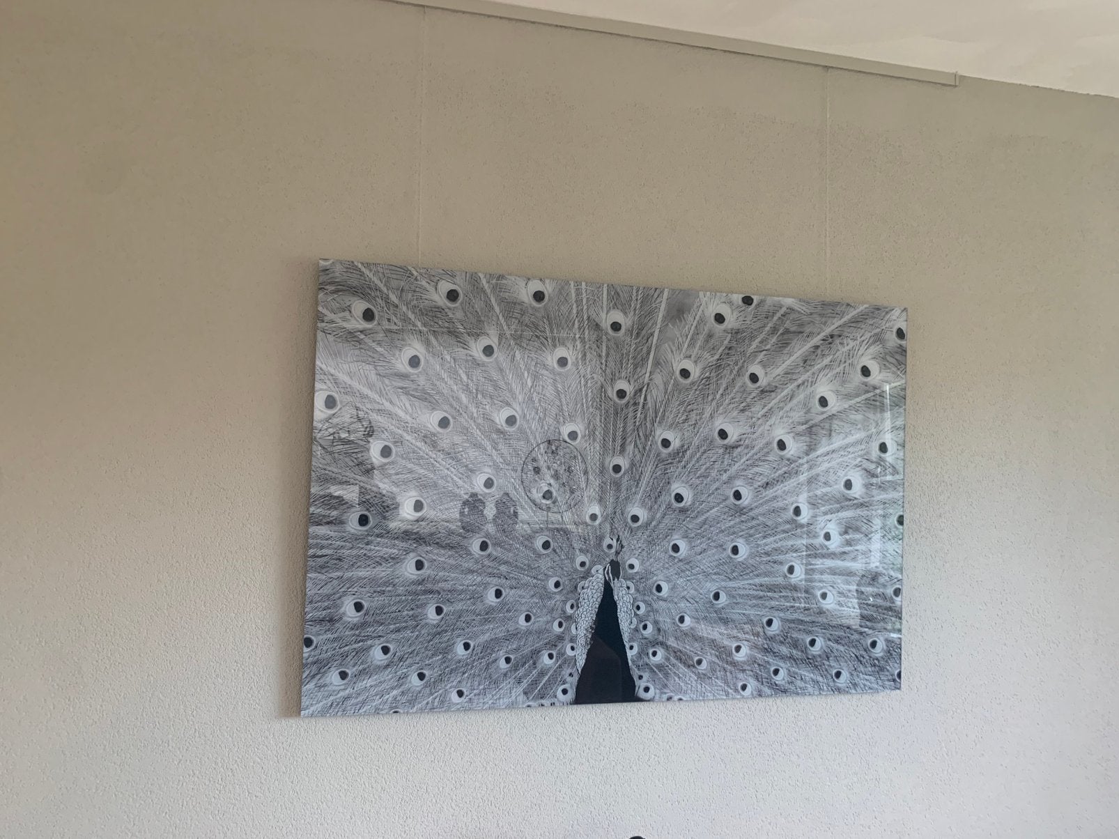 Pauw schilderij van plexi glas, Ophalen