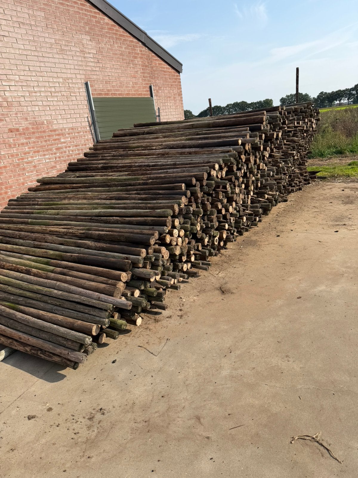Weidepalen, weipalen, palen, Ophalen, Gebruikt, 250 cm of meer, Palen