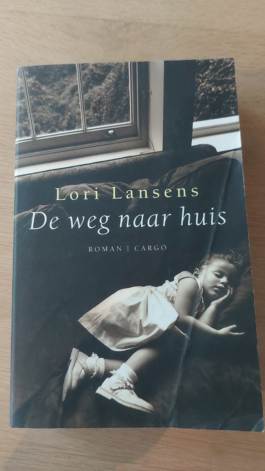 M: De weg naar huis - Lori Lansens (Roman), Ophalen of Verzenden, Gelezen, Lori Lansens, Nederland