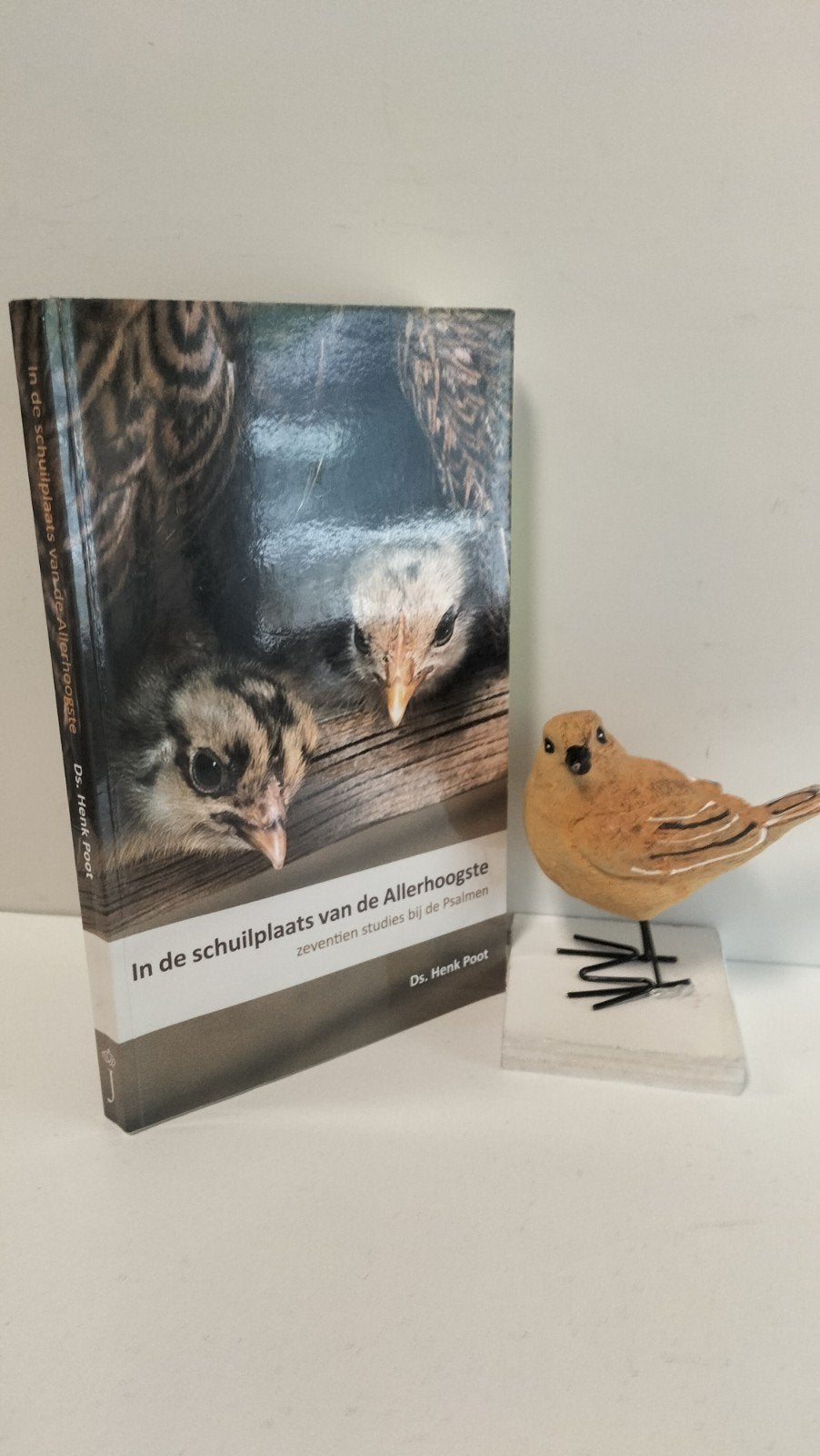Poot, Ds. Henk; In de schuilplaats van de Allerhoogste, Boeken, Ophalen of Verzenden, Gelezen, Christendom | Protestants