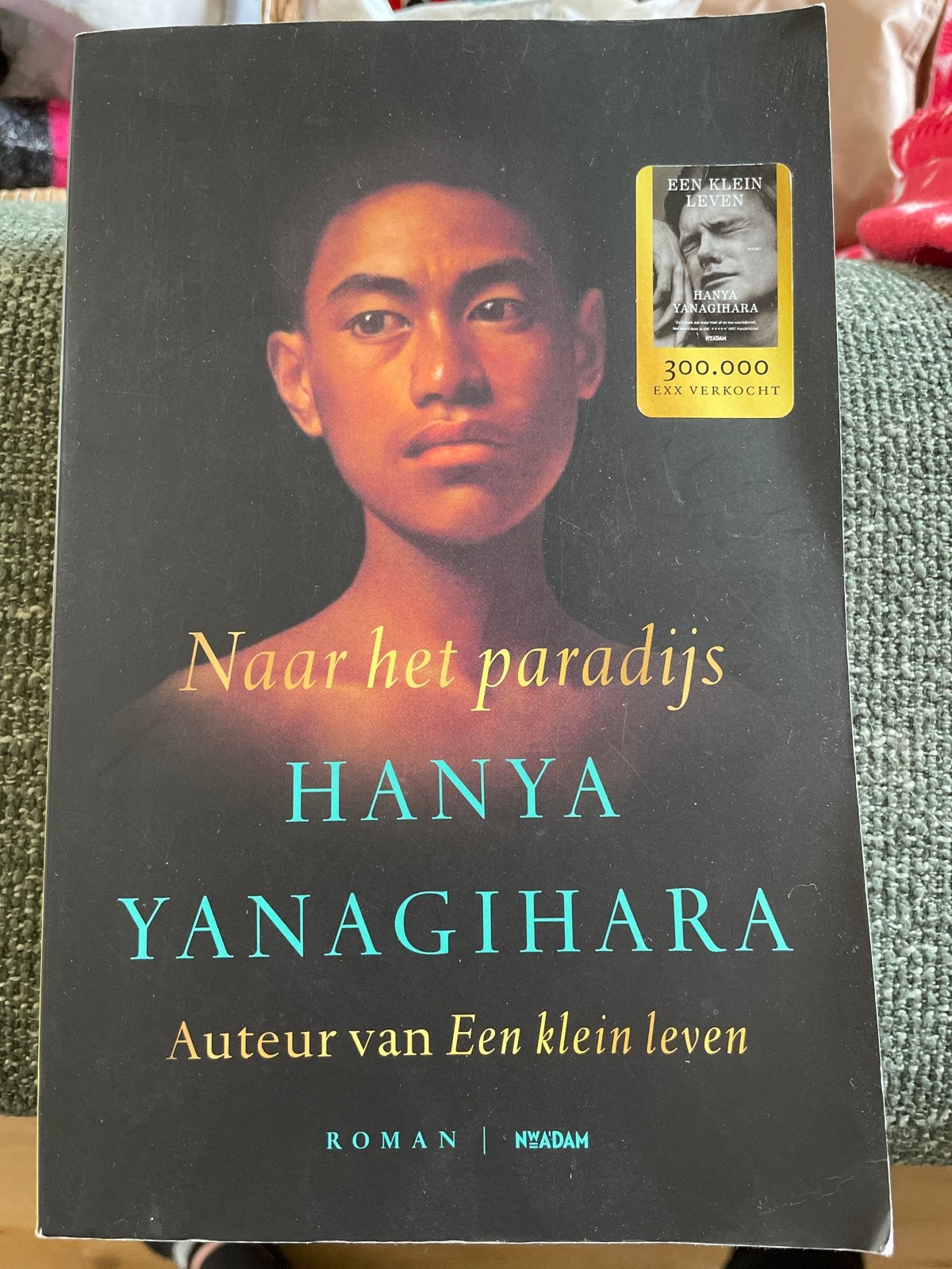 Naar het paradijs - Hanya Yanagihara (Roman), Boeken, Ophalen of Verzenden, Zo goed als nieuw, Nederland