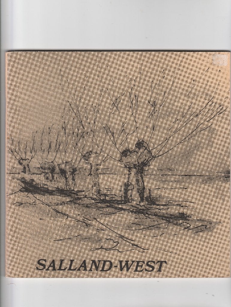 salland west, Boeken, Geschiedenis | Stad en Regio, Verzenden