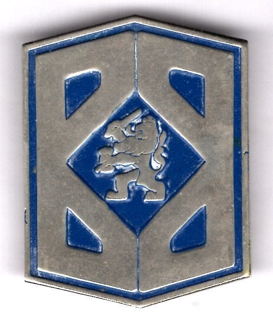 Bescherming Bevolking (BB) broche 38 x 50 mm ( N_204), Verzenden, Zo goed als nieuw, Stad of Land, Speldje of Pin