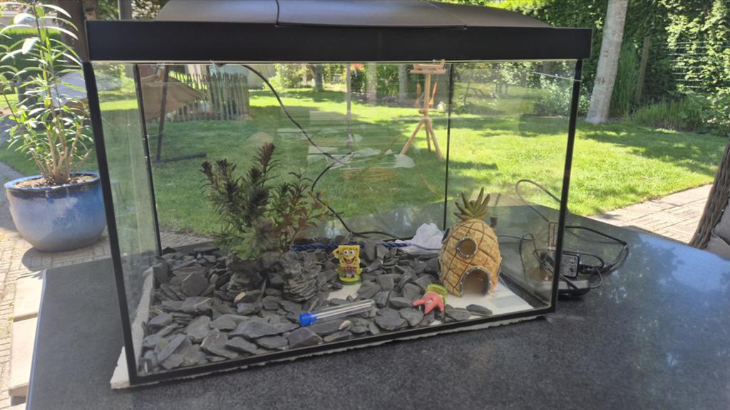 Aquarium nieuw! Maat 45 x 28 x 28, Ophalen, Zo goed als nieuw, Leeg aquarium