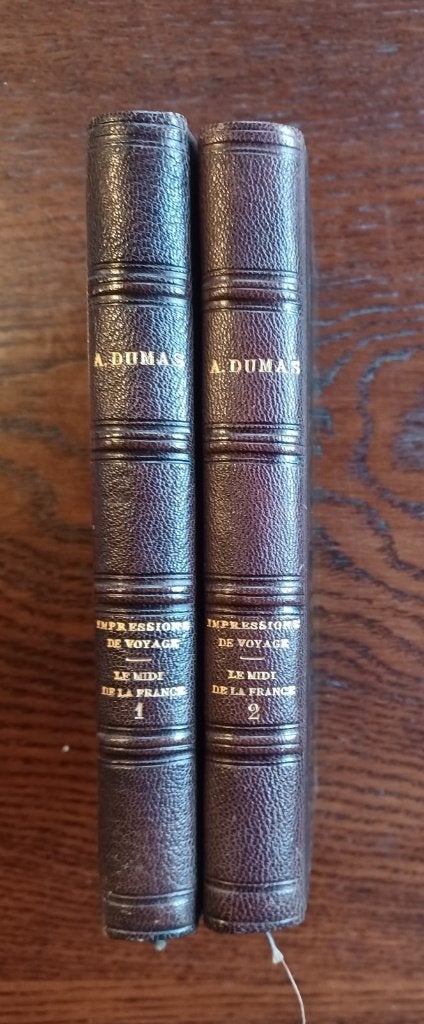 Dumas - Le Midi de la France, Boeken, Ophalen of Verzenden, Gelezen, Europa
