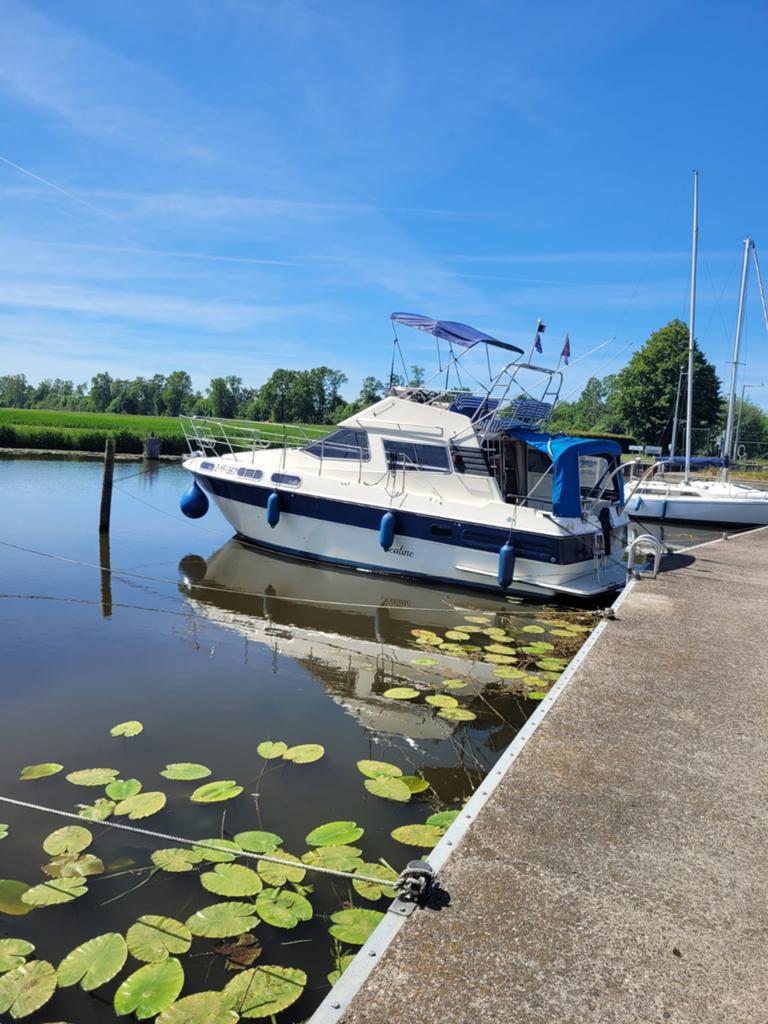 Sealine 305 Fly snelvarend schip, 10 m, Gebruikt, Diesel, Polyester