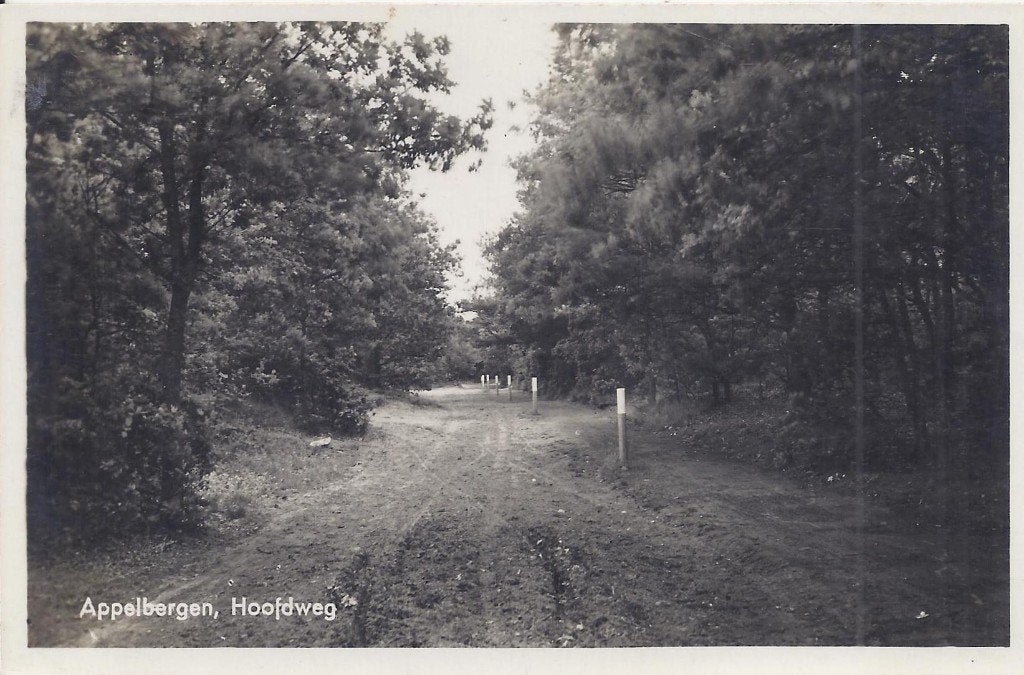 Glimmen Appelbergen Hoofdweg Oude ansichtkaart ( B916 ), Ophalen of Verzenden, 1940 tot 1960, Gelopen