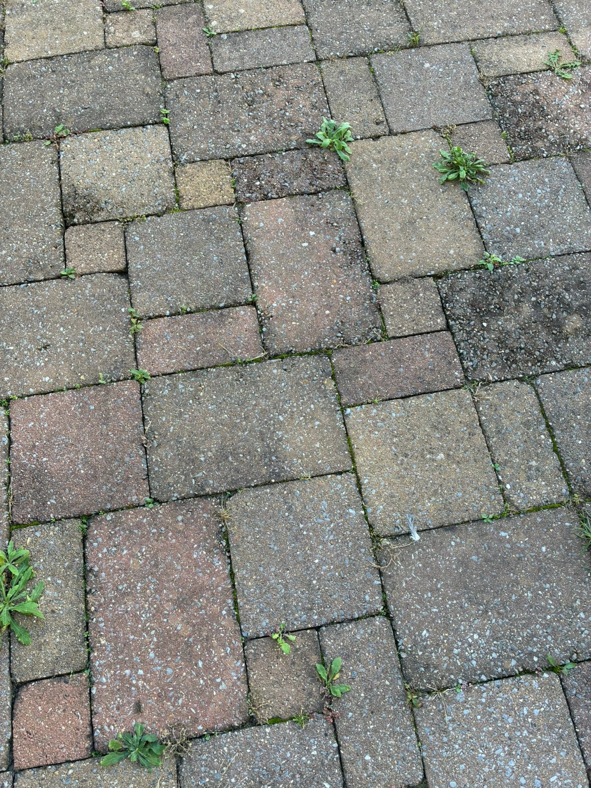 Gratis af te halen, Ophalen, Gebruikt, 10 m² of meer, Beton