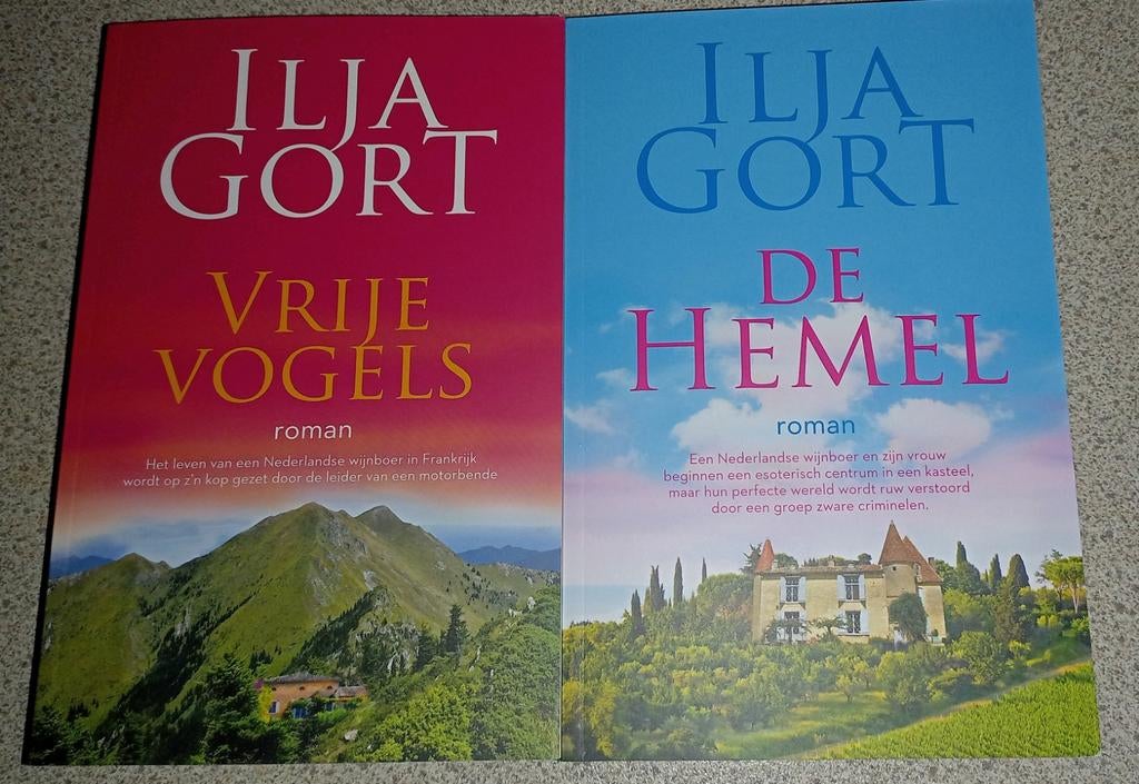 Nieuwe romans Ilja Gort: Vrije Vogels & De Hemel (2 romans), Ophalen of Verzenden, Nieuw, Ilja Gort, Nederland
