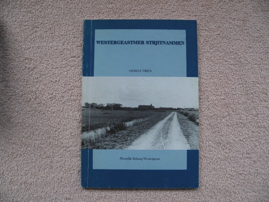 Westergeastmer strjitnammen, Oebele de Vries, Boeken, Ophalen of Verzenden, Zo goed als nieuw, Oebele de Vries, Friesland
