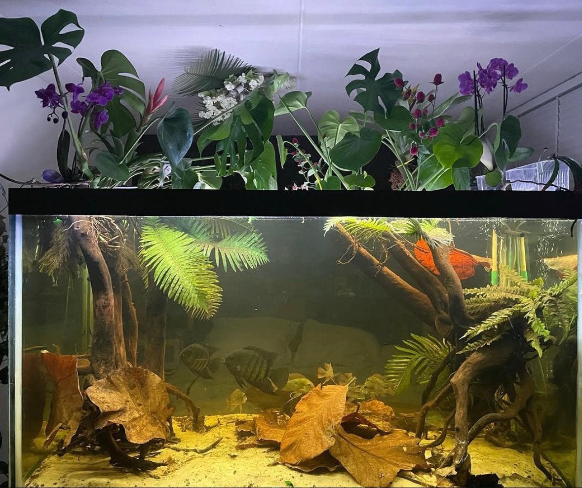 Groot aquarium 1200 liter, Dieren en Toebehoren, Vissen | Aquaria en Toebehoren, Ophalen, Zo goed als nieuw, Leeg aquarium
