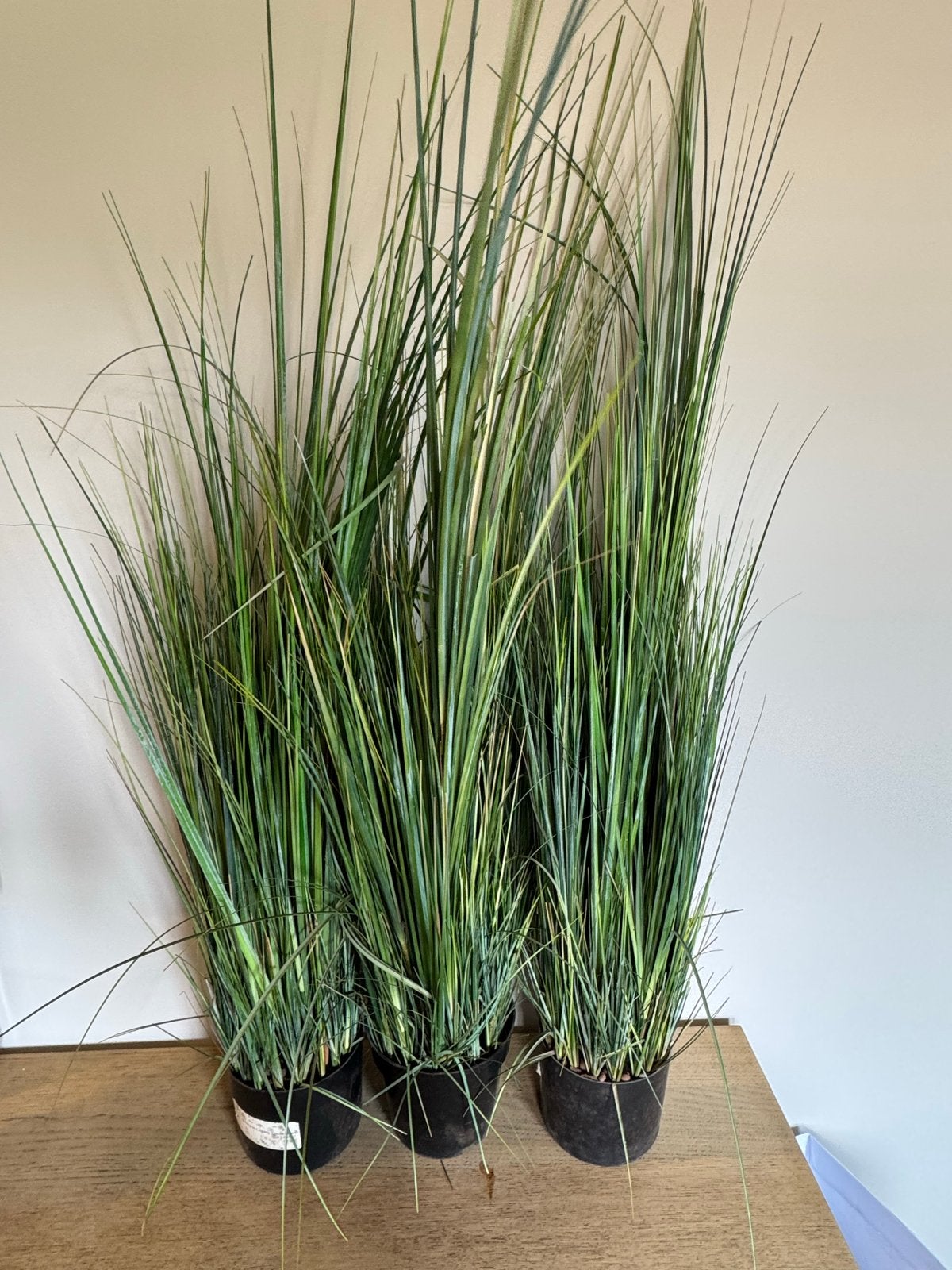 3x Riviergras Kunstplanten 1.20m hoog - Zo goed als nieuw, Huis en Inrichting, Ophalen, Binnen, Groen, Kunstplant