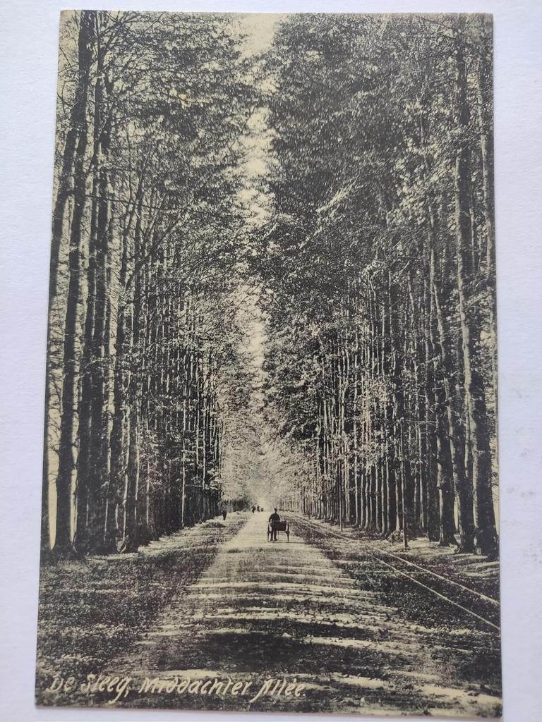 X1144 De Steeg 1906 naar Steenbergen, Ophalen of Verzenden, Voor 1920, Gelderland