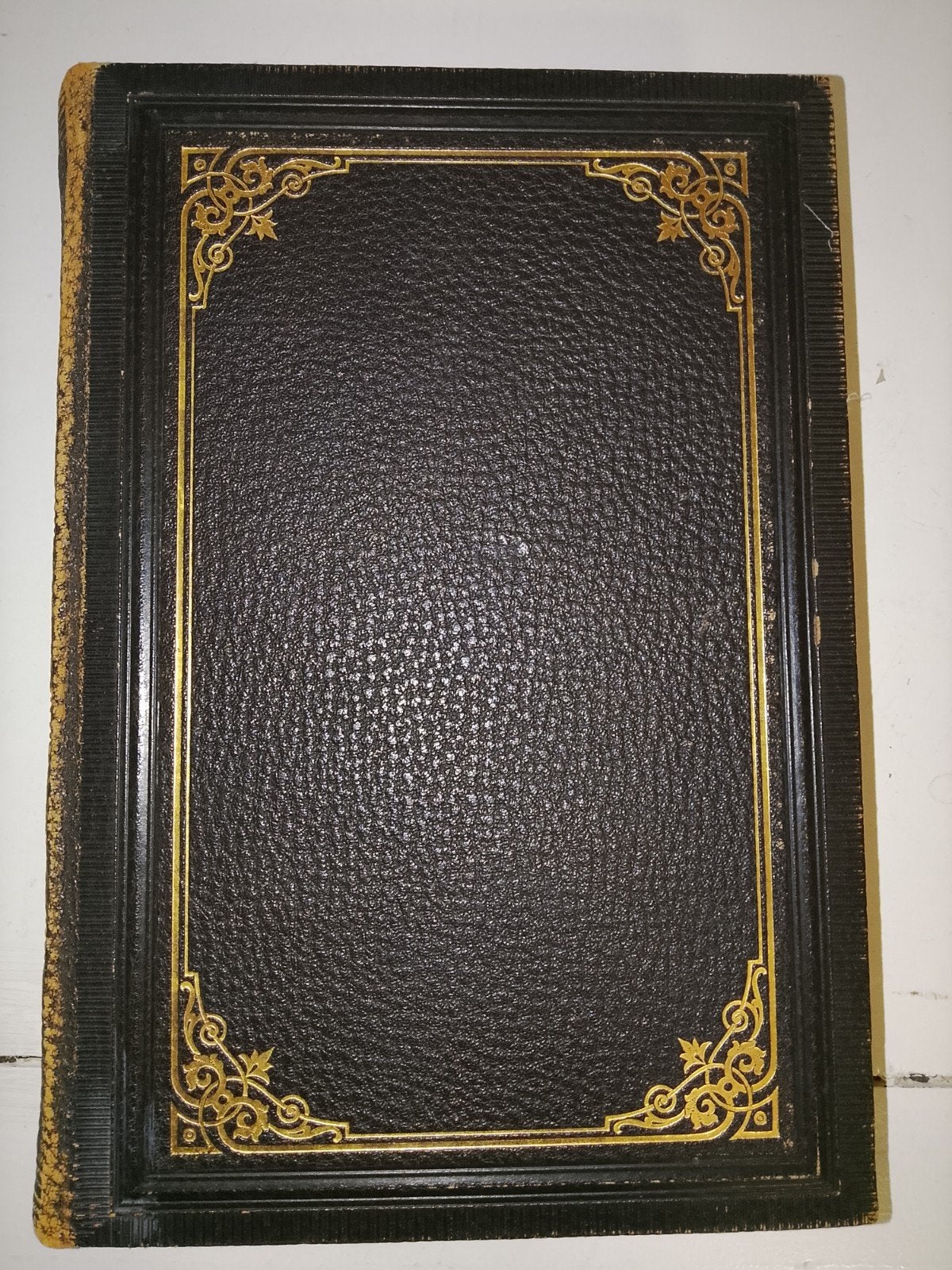 Antieke Bijbel - Die Bibel, Heilige Schrift (1902), Antiek en Kunst, Ophalen of Verzenden, D. Martin Luther