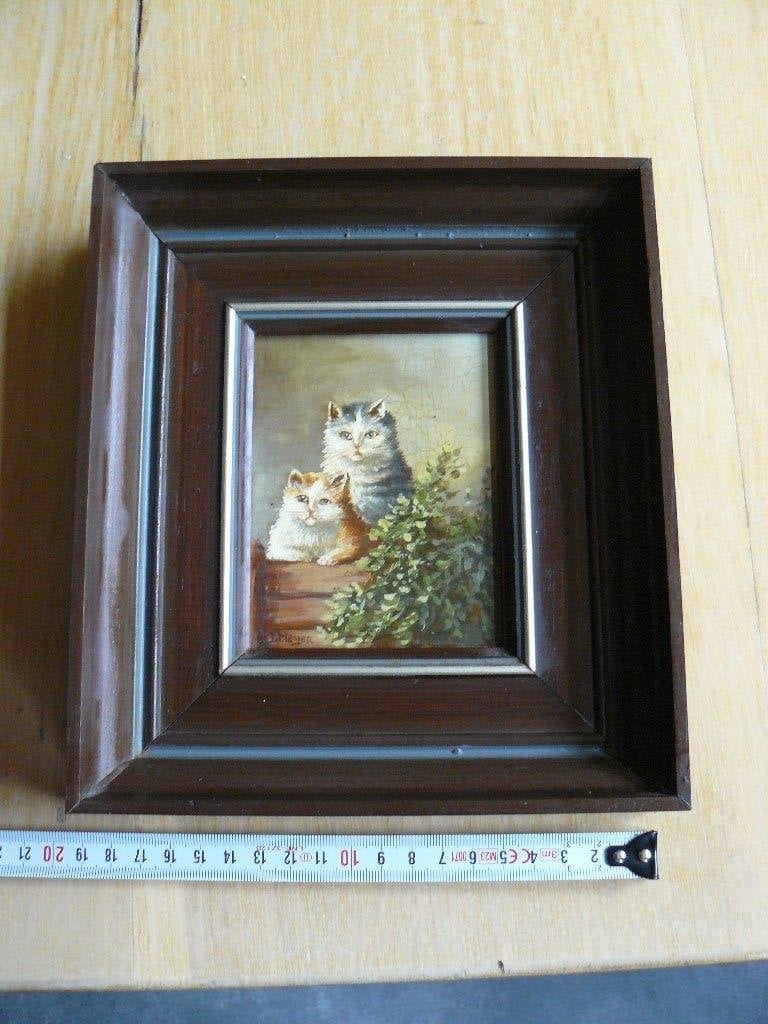 Olieverf schilderij poezen, Antiek en Kunst, Kunst | Schilderijen | Klassiek, Ophalen of Verzenden, Olieverf, Dieren
